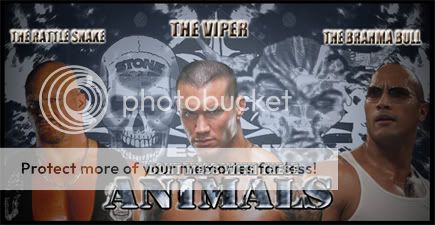 Animals.jpg