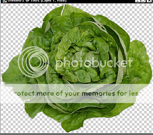 lettucemagic.png