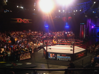 TNA_ring.jpg