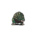 gilturtle.png