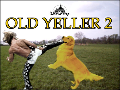 oldyeller2.jpg