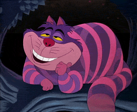 tumblr_lnbu90W3m11qlrriio1_500.gif