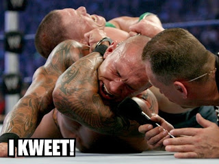 orton1.jpg