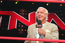 220px-Flair_TNA.jpg