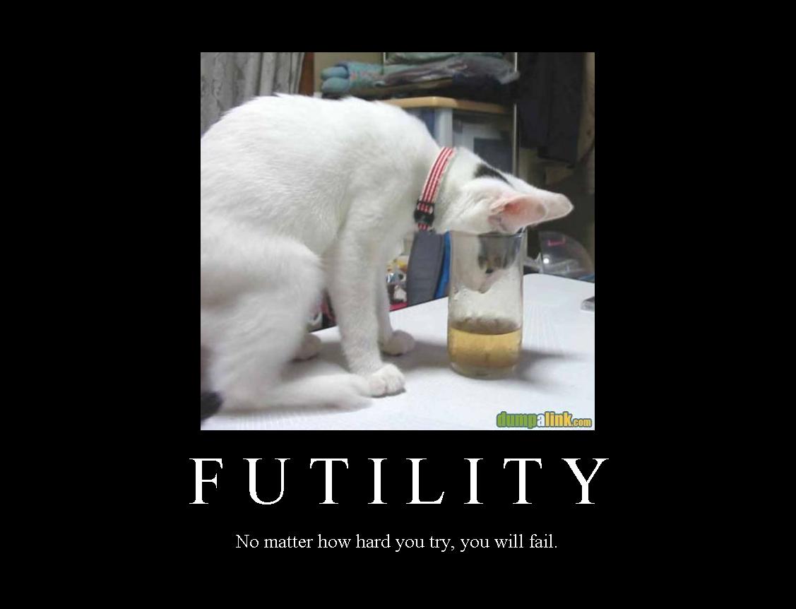 1174324245-futility.jpg