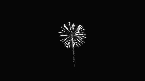 tumblr_o07uz68ChH1tlidr5o1_500.gif