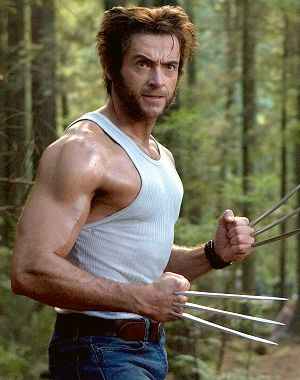 wolverine-1.jpg