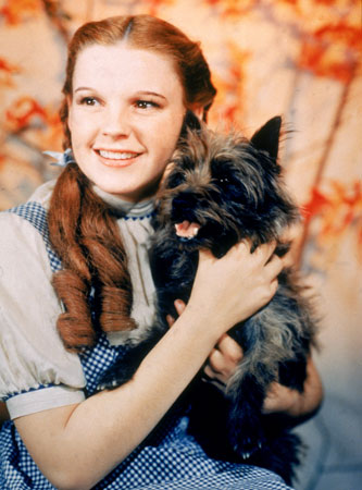 dorothy.jpg