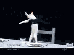 tumblr_lhws5rUjaP1qcn249o1_400.gif