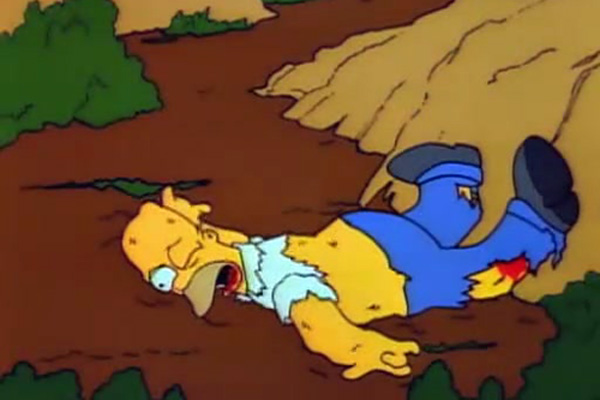 homer-springfield-gorge.jpg