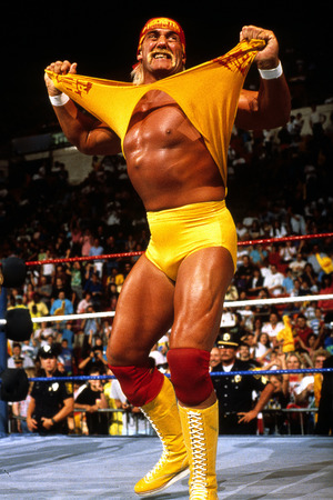 hulk-hogan-7-28.jpeg