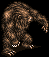 Image870.gif