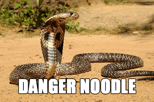 bbd.jpg