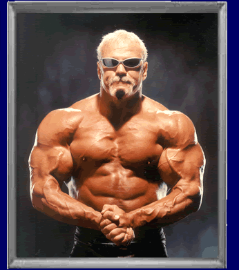 Steiner2.gif