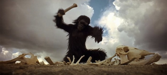 2001-a-space-odyssey-ape.jpg