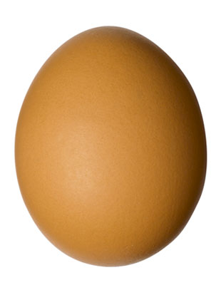 egg.jpg