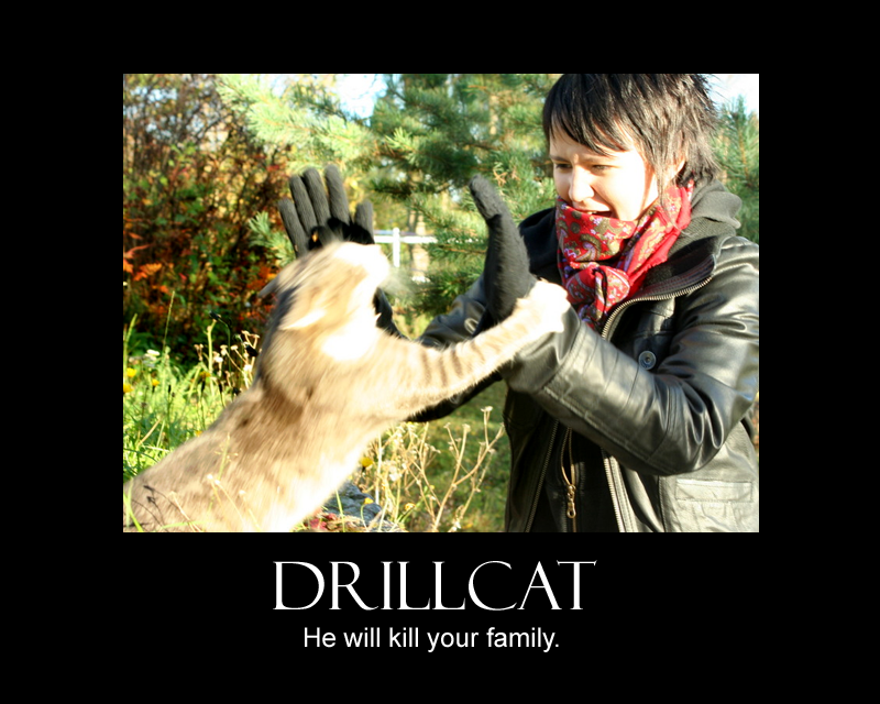 1193951567-26579drillcat.png
