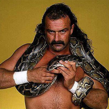 jake-the-snake-roberts.jpg