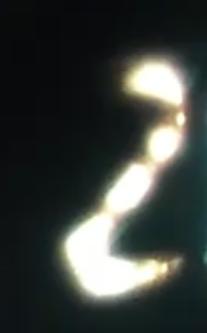 24919462.jpg