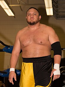 220px-Samoa_Joe_at_Smash_2015.jpg