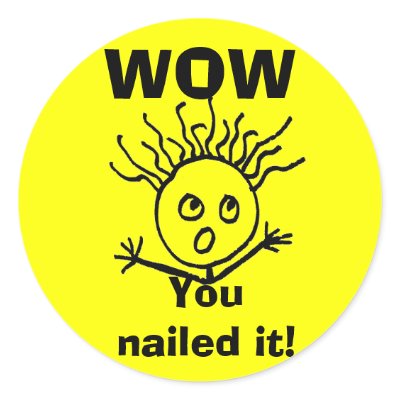 wow_you_nailed_it_sticker-p217098647909599417qjcl_400.jpg