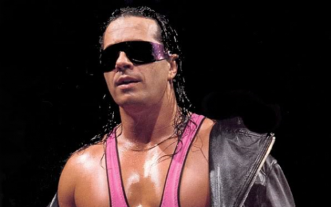 Bret-Hart-Drake-Meek-Mill.png