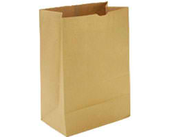 Brown_paper_bag.jpg