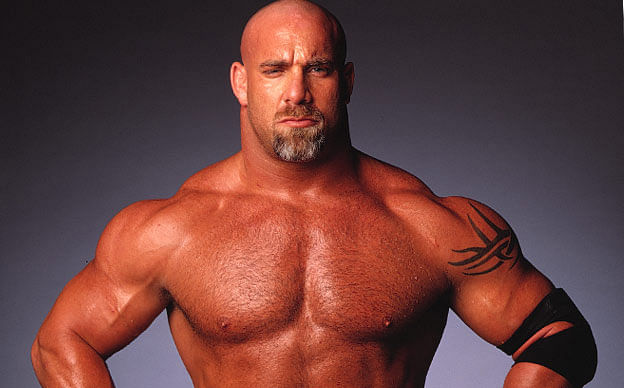 goldberg-1845342-2107975.jpg