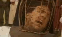 tumblr_lyjqyfGbTg1qgk5i0o1_r1_400.gif