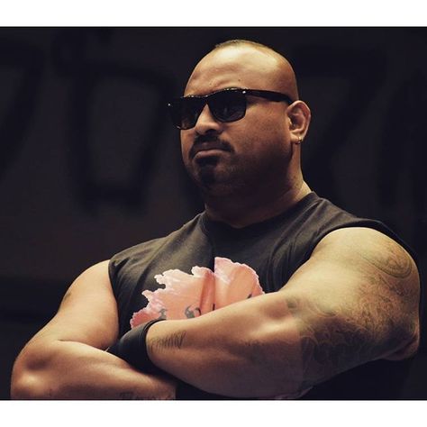bccaaea74c0efd050d6bc7ae33349cf3--bad-luck-fale-gold.jpg