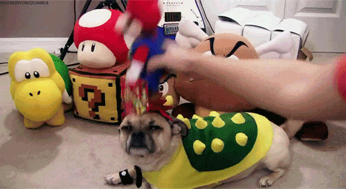 tumblr_lm8q8tXDFr1qc6xjbo1_500.gif