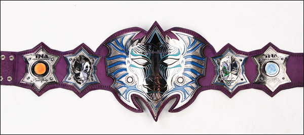 New-TNA-World-Title-jeff-hardy-16899991-600-268.jpg