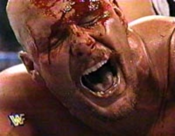 wrestlemania13_display_image.jpg