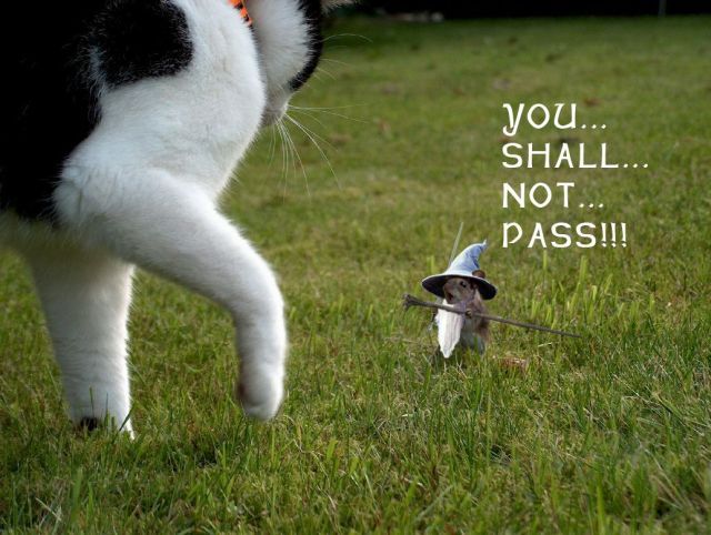 You_Shall_Not_Pass_by_Wizard1134.jpg