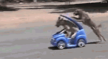 tumblr_ln7hk4csgy1qzcv7no1_400.gif