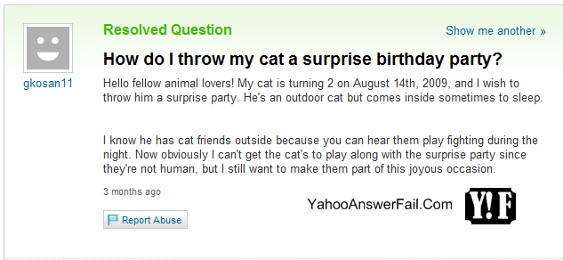 catsurprise.png