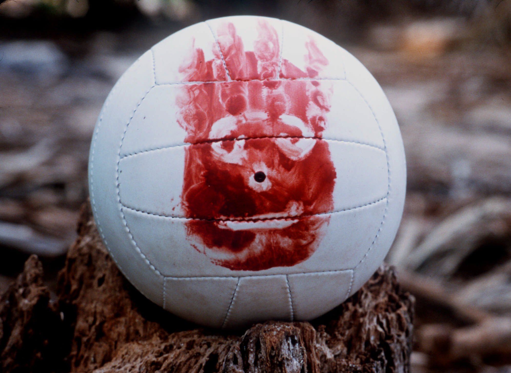 cast-away-wilson-volleyball1.jpg