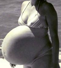 preggo.jpg