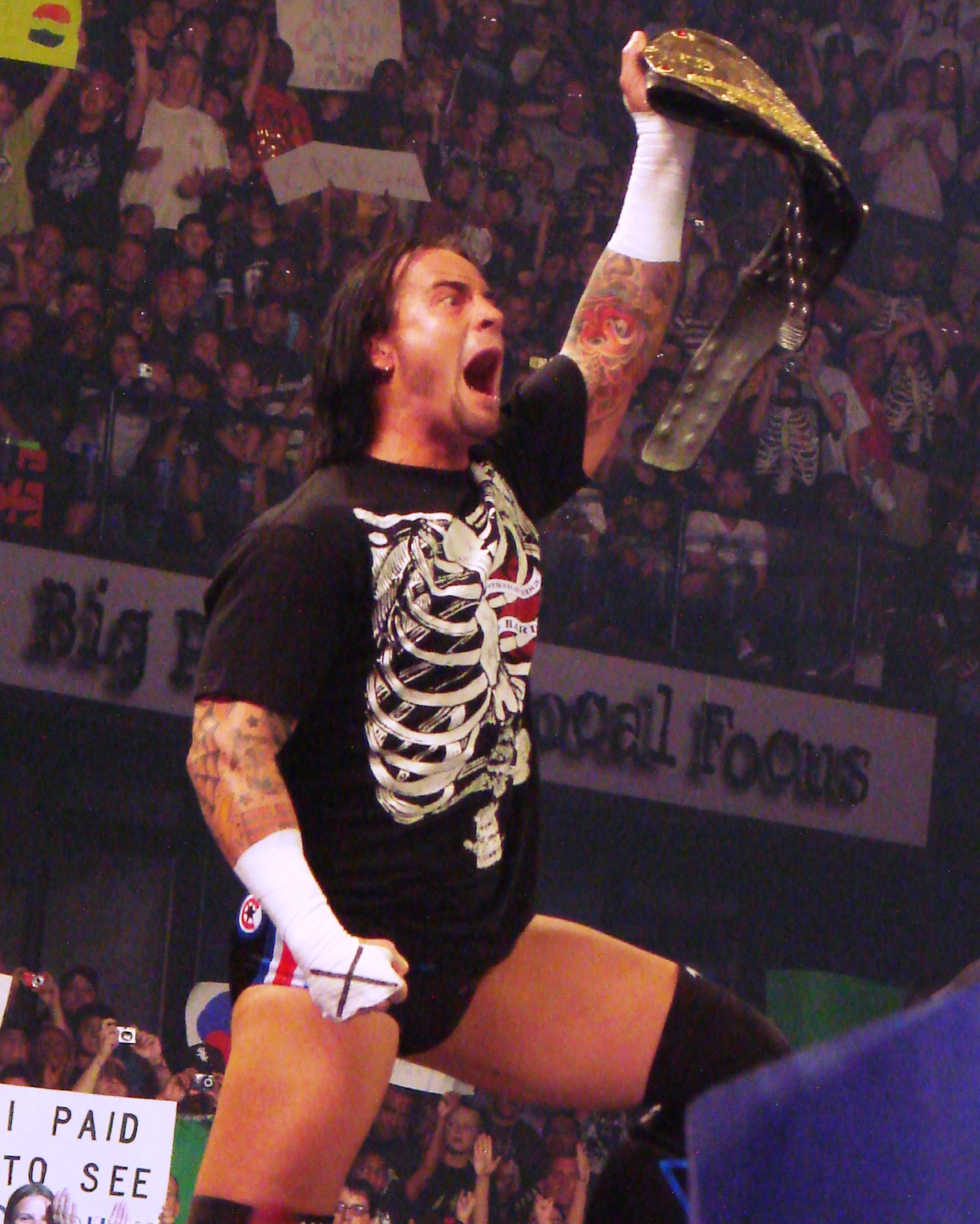 CM_Punk_Rosemont_IL_081808.jpg