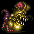 Image995.gif