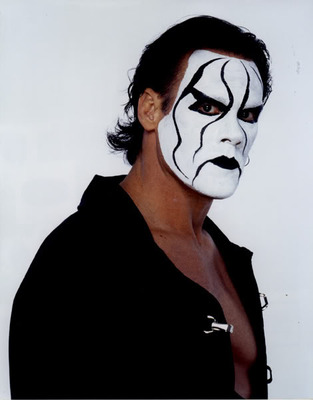 sting_wrestler_display_image.jpg