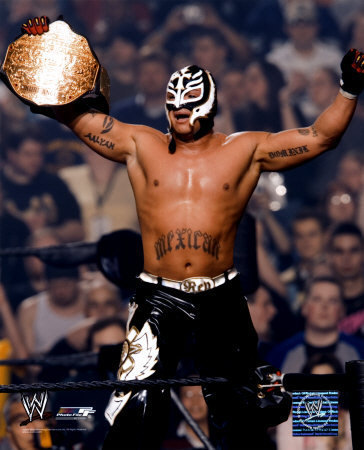 Rey-Mysterio-rey-mysterio-22462048-364-450.jpg