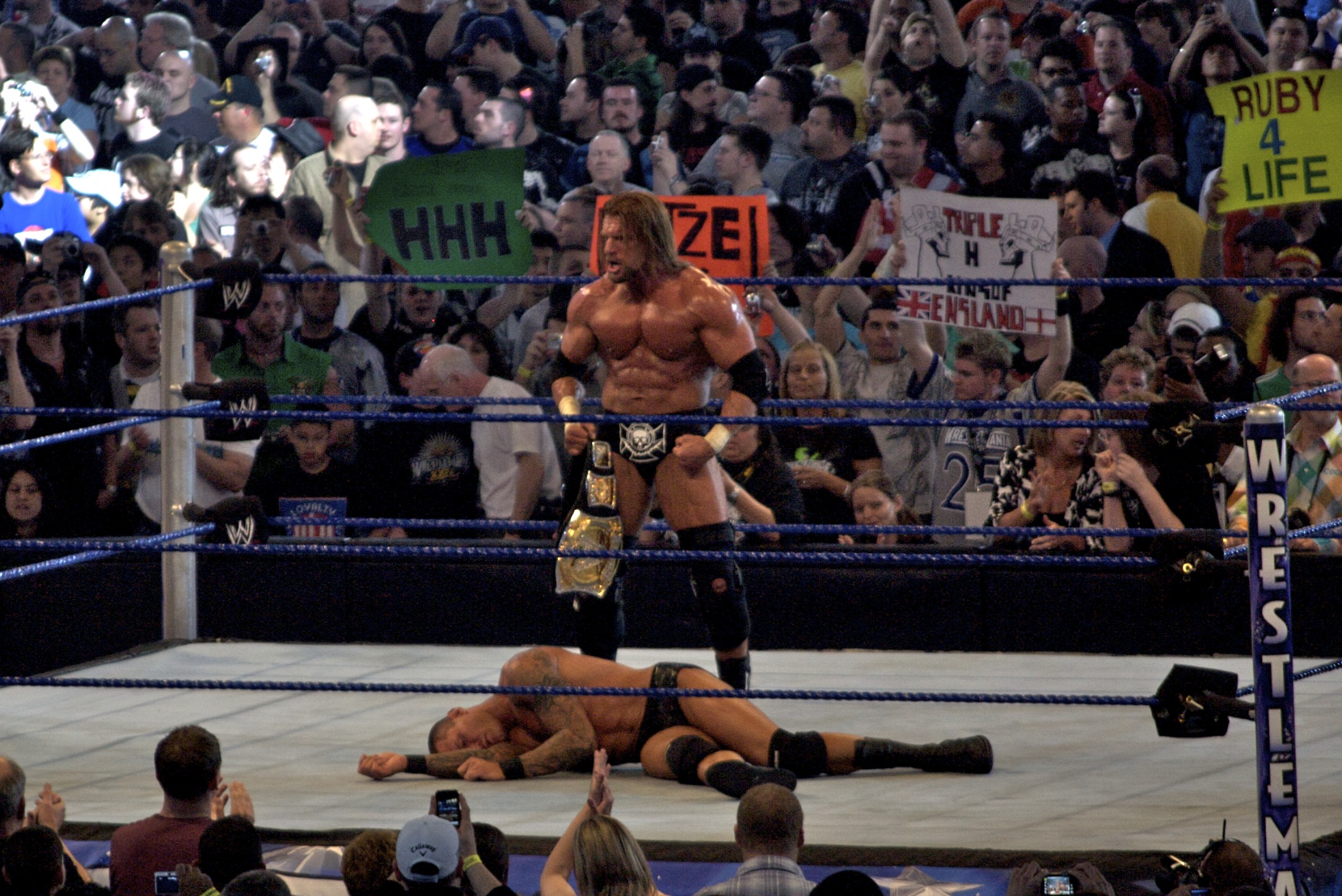 WrestleMania_XXV_-_Triple_H_vs_Orton_2.jpg