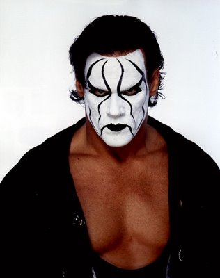 sting2.jpg