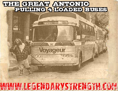 The-Great-Antonio-Buses.jpg