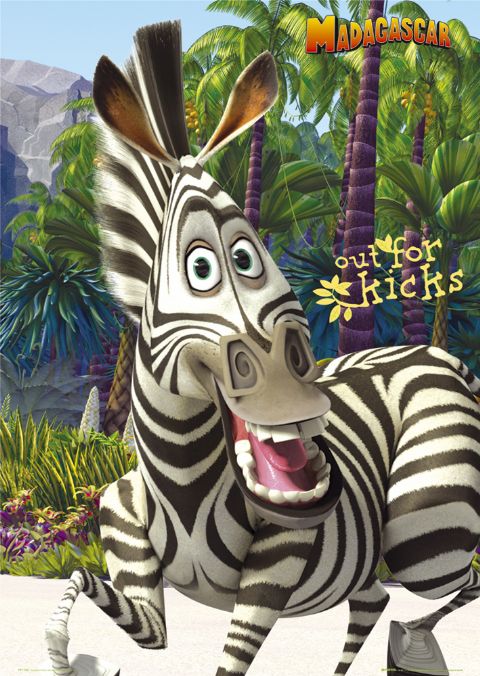 madagascar_marty.jpg