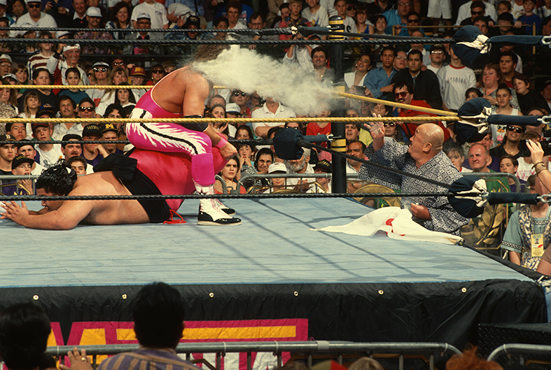 MrFuji_BretHart_Yokozuna_inarticle_Large.jpg