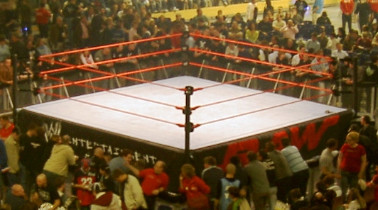 WWE_ring.jpg